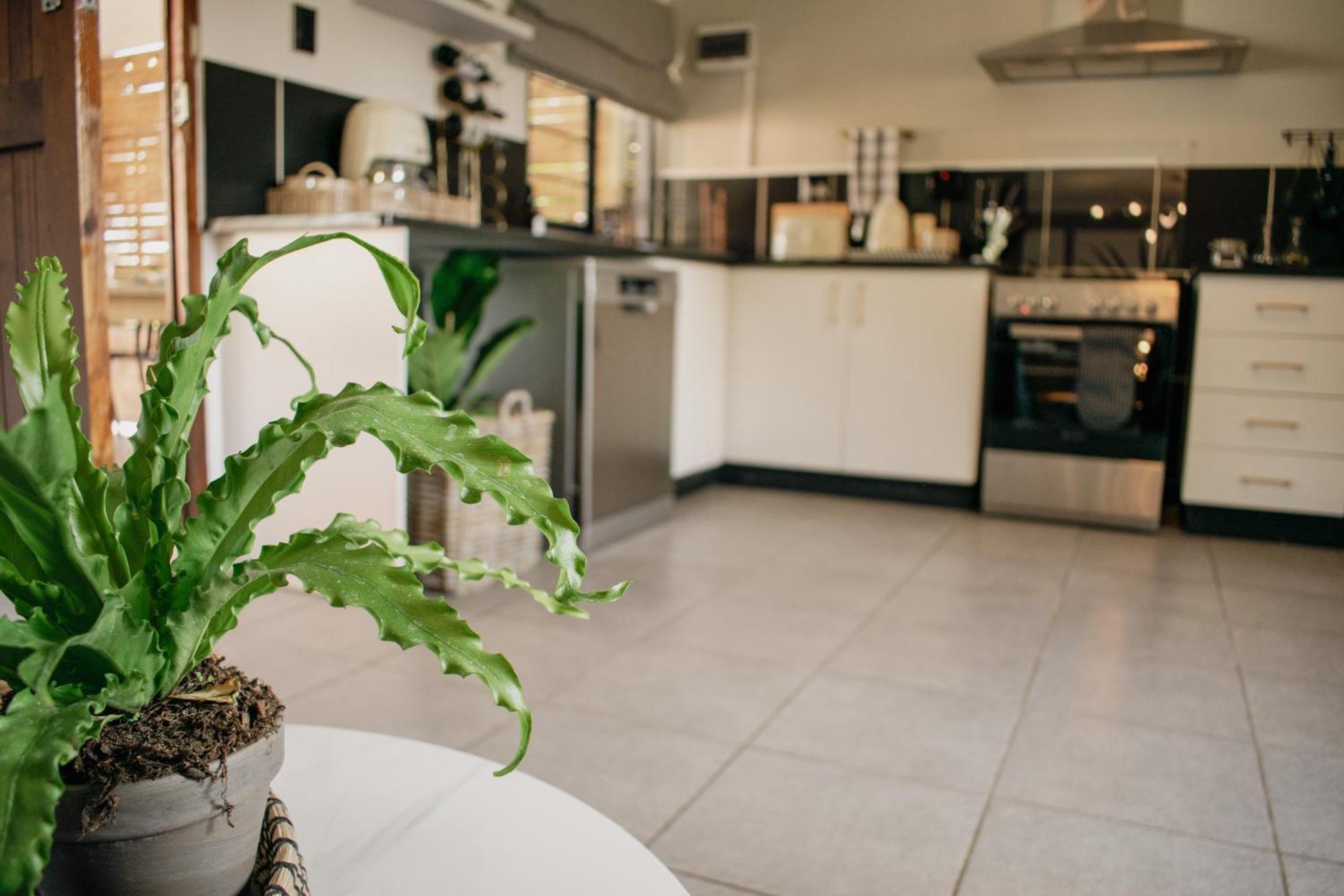 No 1 Dicks Street Apartment Howick Esterno foto